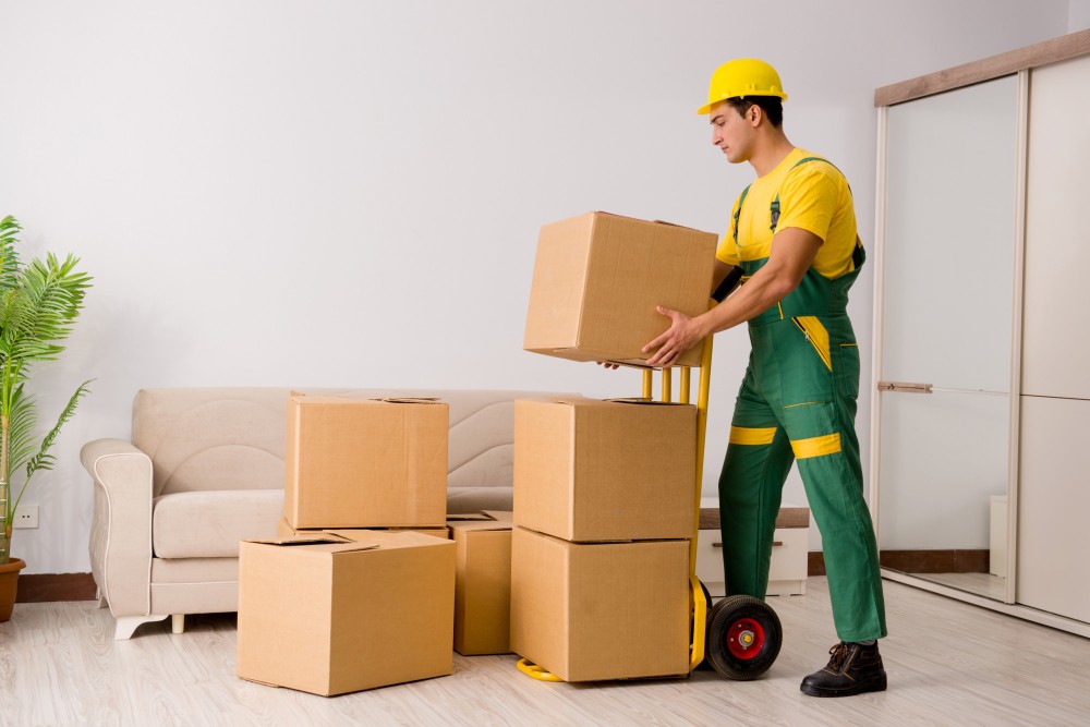 man delivering boxes during house move